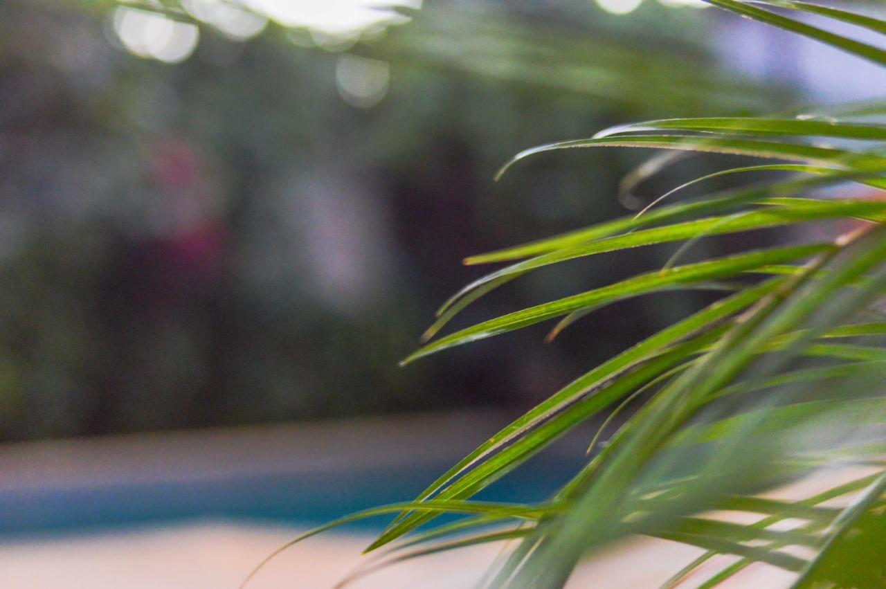 פוארטו איגואסו Managua Apart Hotel מראה חיצוני תמונה